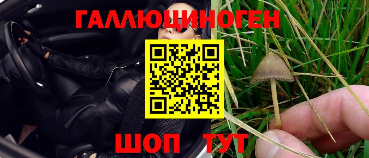 Псилоцибиновые грибы Magic Shrooms  Вход с VPN  Галлюциногенные грибы ЛСД  Котельники 